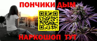 сатива Кандалакша