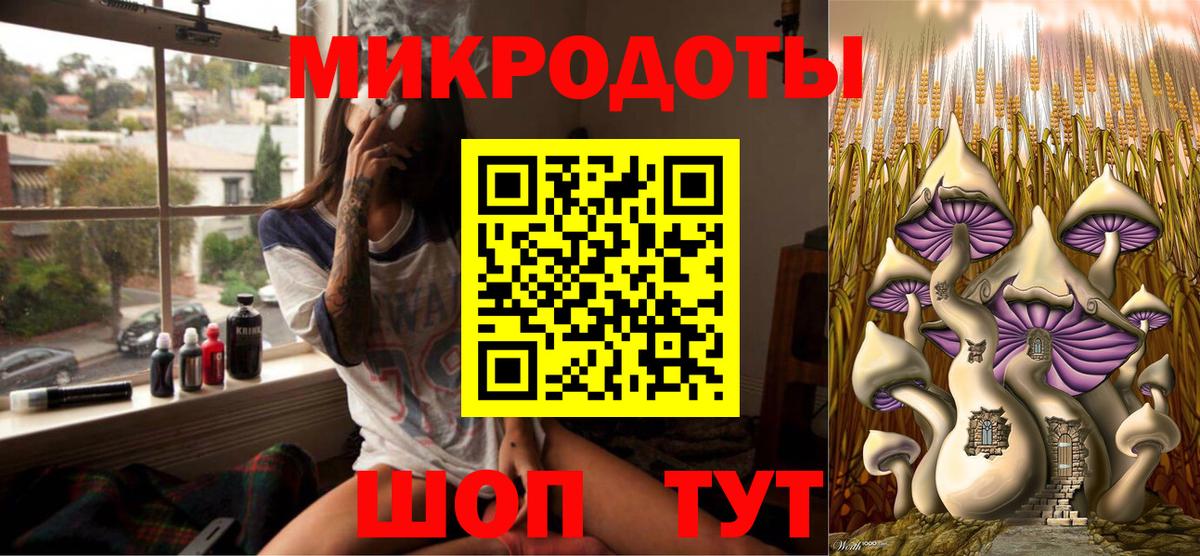 Псилоцибиновые грибы Psilocybine cubensis  Вход с VPN  Псилоцибиновые грибы Psilocybine cubensis  Сокол 