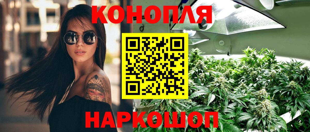 Сокол  Марихуана индика  Вход с VPN  Бошки марихуана семена  Шишки марихуана конопля 